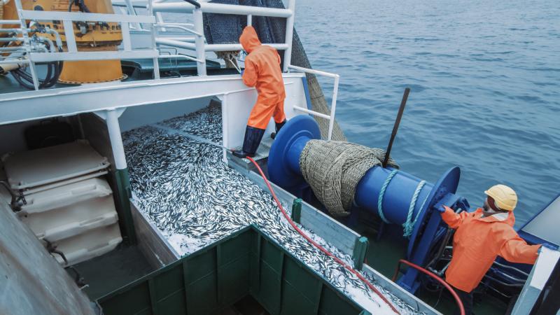 Pêcheurs sur un chalutier en action de pêche