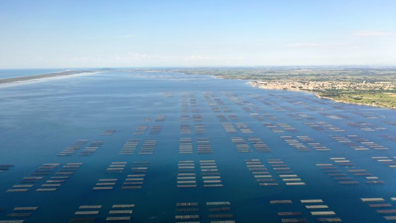 vue du ciel d'un parc de cultures marines
